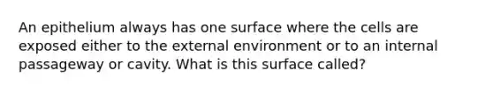 An epithelium always has one surface where the cells are exposed either to <a href='https://www.questionai.com/knowledge/kpkoUX83Zl-the-external-environment' class='anchor-knowledge'>the external environment</a> or to an internal passageway or cavity. What is this surface called?