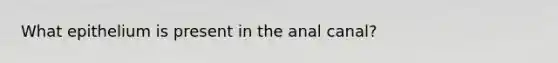 What epithelium is present in the anal canal?