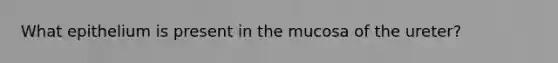 What epithelium is present in the mucosa of the ureter?