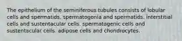 The epithelium of the seminiferous tubules consists of lobular cells and spermatids. spermatogonia and spermatids. interstitial cells and sustentacular cells. spermatogenic cells and sustentacular cells. adipose cells and chondrocytes.