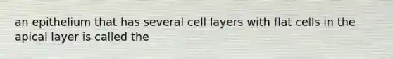 an epithelium that has several cell layers with flat cells in the apical layer is called the