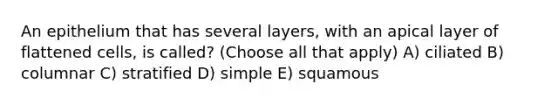 An epithelium that has several layers, with an apical layer of flattened cells, is called? (Choose all that apply) A) ciliated B) columnar C) stratified D) simple E) squamous