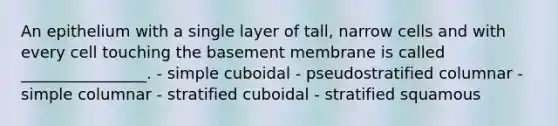 An epithelium with a single layer of tall, narrow cells and with every cell touching the basement membrane is called ________________. - simple cuboidal - pseudostratified columnar - simple columnar - stratified cuboidal - stratified squamous