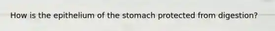 How is the epithelium of <a href='https://www.questionai.com/knowledge/kLccSGjkt8-the-stomach' class='anchor-knowledge'>the stomach</a> protected from digestion?