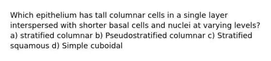 Which epithelium has tall columnar cells in a single layer interspersed with shorter basal cells and nuclei at varying levels? a) stratified columnar b) Pseudostratified columnar c) Stratified squamous d) Simple cuboidal