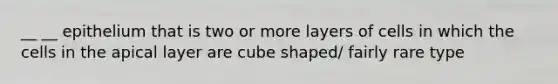 __ __ epithelium that is two or more layers of cells in which the cells in the apical layer are cube shaped/ fairly rare type