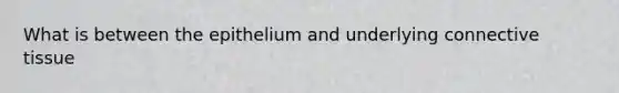What is between the epithelium and underlying <a href='https://www.questionai.com/knowledge/kYDr0DHyc8-connective-tissue' class='anchor-knowledge'>connective tissue</a>