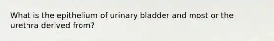 What is the epithelium of urinary bladder and most or the urethra derived from?