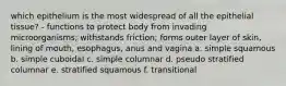 which epithelium is the most widespread of all the epithelial tissue? - functions to protect body from invading microorganisms; withstands friction; forms outer layer of skin, lining of mouth, esophagus, anus and vagina a. simple squamous b. simple cuboidal c. simple columnar d. pseudo stratified columnar e. stratified squamous f. transitional