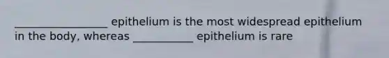 _________________ epithelium is the most widespread epithelium in the body, whereas ___________ epithelium is rare