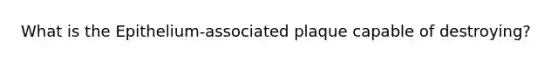 What is the Epithelium-associated plaque capable of destroying?