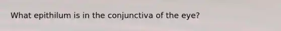 What epithilum is in the conjunctiva of the eye?