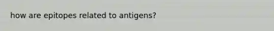 how are epitopes related to antigens?