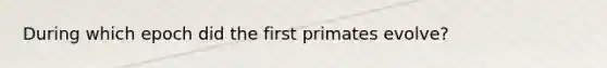 During which epoch did the first primates evolve?