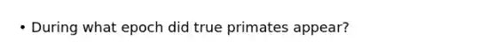 • During what epoch did true primates appear?