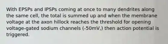 With EPSPs and IPSPs coming at once to many dendrites along the same cell, the total is summed up and when the membrane voltage at the axon hillock reaches the threshold for opening voltage-gated sodium channels (-50mV,) then action potential is triggered.
