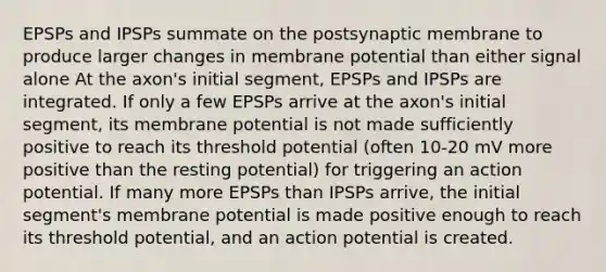 EPSPs and IPSPs summate on the postsynaptic membrane to produce larger changes in membrane potential than either signal alone At the axon's initial segment, EPSPs and IPSPs are integrated. If only a few EPSPs arrive at the axon's initial segment, its membrane potential is not made sufficiently positive to reach its threshold potential (often 10-20 mV more positive than the resting potential) for triggering an action potential. If many more EPSPs than IPSPs arrive, the initial segment's membrane potential is made positive enough to reach its threshold potential, and an action potential is created.