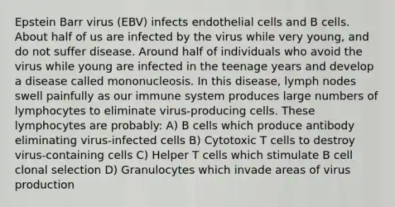 Epstein Barr virus (EBV) infects endothelial cells and B cells. About half of us are infected by the virus while very young, and do not suffer disease. Around half of individuals who avoid the virus while young are infected in the teenage years and develop a disease called mononucleosis. In this disease, lymph nodes swell painfully as our immune system produces large numbers of lymphocytes to eliminate virus-producing cells. These lymphocytes are probably: A) B cells which produce antibody eliminating virus-infected cells B) Cytotoxic T cells to destroy virus-containing cells C) Helper T cells which stimulate B cell clonal selection D) Granulocytes which invade areas of virus production