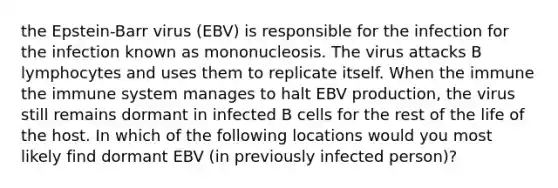 the Epstein-Barr virus (EBV) is responsible for the infection for the infection known as mononucleosis. The virus attacks B lymphocytes and uses them to replicate itself. When the immune the immune system manages to halt EBV production, the virus still remains dormant in infected B cells for the rest of the life of the host. In which of the following locations would you most likely find dormant EBV (in previously infected person)?