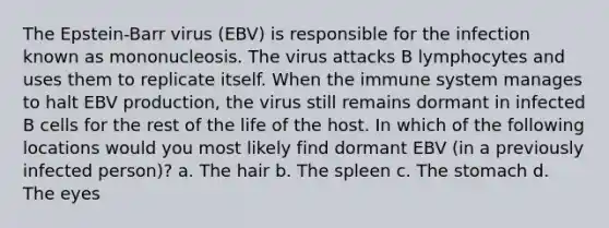 The Epstein-Barr virus (EBV) is responsible for the infection known as mononucleosis. The virus attacks B lymphocytes and uses them to replicate itself. When the immune system manages to halt EBV production, the virus still remains dormant in infected B cells for the rest of the life of the host. In which of the following locations would you most likely find dormant EBV (in a previously infected person)? a. The hair b. The spleen c. The stomach d. The eyes