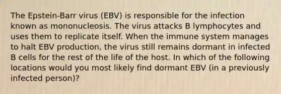 The Epstein-Barr virus (EBV) is responsible for the infection known as mononucleosis. The virus attacks B lymphocytes and uses them to replicate itself. When the immune system manages to halt EBV production, the virus still remains dormant in infected B cells for the rest of the life of the host. In which of the following locations would you most likely find dormant EBV (in a previously infected person)?