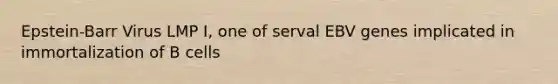 Epstein-Barr Virus LMP I, one of serval EBV genes implicated in immortalization of B cells