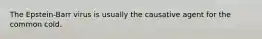 The Epstein-Barr virus is usually the causative agent for the common cold.