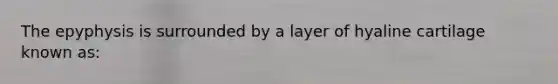 The epyphysis is surrounded by a layer of hyaline cartilage known as: