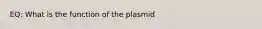 EQ: What is the function of the plasmid