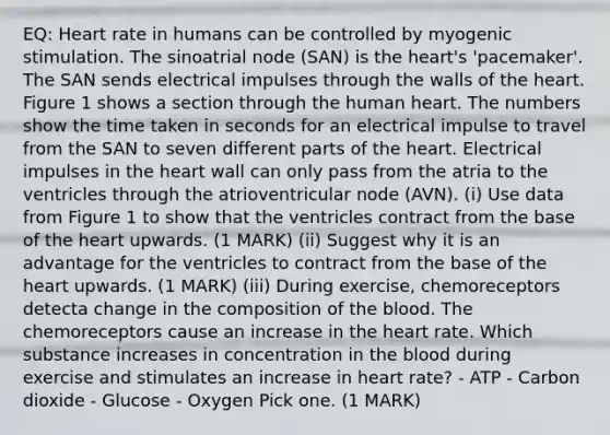 EQ: Heart rate in humans can be controlled by myogenic stimulation. The sinoatrial node (SAN) is the heart's 'pacemaker'. The SAN sends electrical impulses through the walls of the heart. Figure 1 shows a section through the human heart. The numbers show the time taken in seconds for an electrical impulse to travel from the SAN to seven different parts of the heart. Electrical impulses in the heart wall can only pass from the atria to the ventricles through the atrioventricular node (AVN). (i) Use data from Figure 1 to show that the ventricles contract from the base of the heart upwards. (1 MARK) (ii) Suggest why it is an advantage for the ventricles to contract from the base of the heart upwards. (1 MARK) (iii) During exercise, chemoreceptors detecta change in the composition of the blood. The chemoreceptors cause an increase in the heart rate. Which substance increases in concentration in the blood during exercise and stimulates an increase in heart rate? - ATP - Carbon dioxide - Glucose - Oxygen Pick one. (1 MARK)