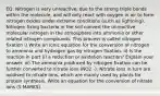 EQ: Nitrogen is very unreactive, due to the strong triple bonds within the molecule, and will only react with oxygen in air to form nitrogen oxides under extreme conditions (such as lightning). Nitrogen fixing bacteria in the soil convert the unreactive molecular nitrogen in the atmosphere into ammonia or other related nitrogen compounds. This process is called nitrogen fixation i) Write an ionic equation for the conversion of nitrogen to ammonia and hydrogen gas by nitrogen fixation. ii) Is the reaction in part (i) a reduction or oxidation reaction? Explain your answer. iii) The ammonia produced by nitrogen fixation can be further converted to nitrate ions (NO2 -). Nitrate ions in turn are oxidised to nitrate ions, which are mainly used by plants for protein synthesis. Write an equation for the conversion of nitrate ions (5 MARKS)