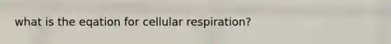 what is the eqation for cellular respiration?