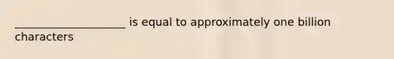 ____________________ is equal to approximately one billion characters