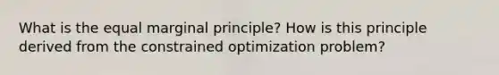 What is the equal marginal principle? How is this principle derived from the constrained optimization problem?