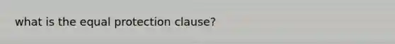 what is the equal protection clause?