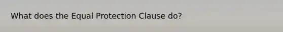 What does the Equal Protection Clause do?