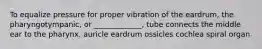 To equalize pressure for proper vibration of the eardrum, the pharyngotympanic, or _____________, tube connects the middle ear to the pharynx. auricle eardrum ossicles cochlea spiral organ