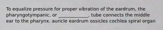 To equalize pressure for proper vibration of the eardrum, the pharyngotympanic, or _____________, tube connects the middle ear to the pharynx. auricle eardrum ossicles cochlea spiral organ