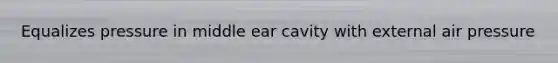 Equalizes pressure in middle ear cavity with external air pressure