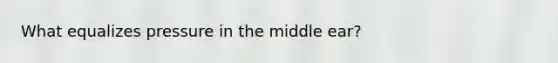 What equalizes pressure in the middle ear?