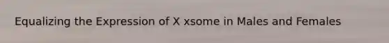 Equalizing the Expression of X xsome in Males and Females