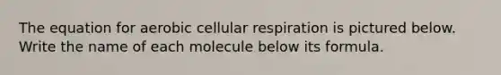 The equation for aerobic cellular respiration is pictured below. Write the name of each molecule below its formula.