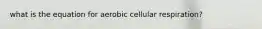 what is the equation for aerobic cellular respiration?