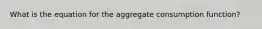 What is the equation for the aggregate consumption function?