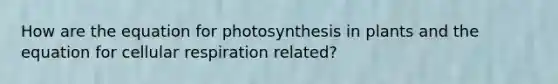 How are the equation for photosynthesis in plants and the equation for <a href='https://www.questionai.com/knowledge/k1IqNYBAJw-cellular-respiration' class='anchor-knowledge'>cellular respiration</a> related?