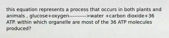 this equation represents a process that occurs in both plants and animals , glucose+oxygen---------->water +carbon dioxide+36 ATP. within which organelle are most of the 36 ATP molecules produced?