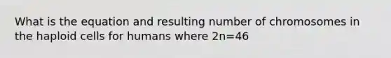 What is the equation and resulting number of chromosomes in the haploid cells for humans where 2n=46