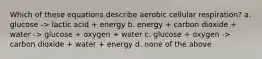 Which of these equations describe aerobic cellular respiration? a. glucose -> lactic acid + energy b. energy + carbon dioxide + water -> glucose + oxygen + water c. glucose + oxygen -> carbon dioxide + water + energy d. none of the above