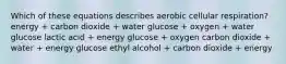 Which of these equations describes aerobic cellular respiration? energy + carbon dioxide + water glucose + oxygen + water glucose lactic acid + energy glucose + oxygen carbon dioxide + water + energy glucose ethyl alcohol + carbon dioxide + energy