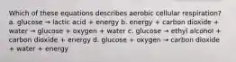 Which of these equations describes aerobic cellular respiration? a. glucose → lactic acid + energy b. energy + carbon dioxide + water → glucose + oxygen + water c. glucose → ethyl alcohol + carbon dioxide + energy d. glucose + oxygen → carbon dioxide + water + energy